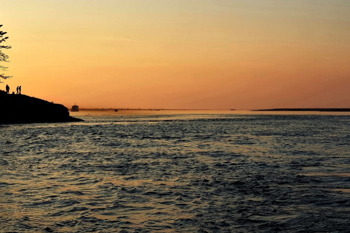 Explore the world largest river island Majuli